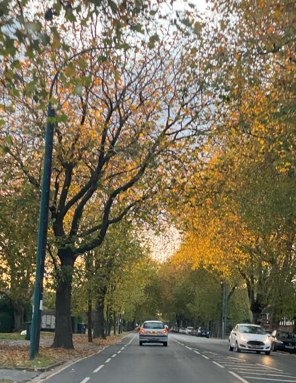 Autumn road